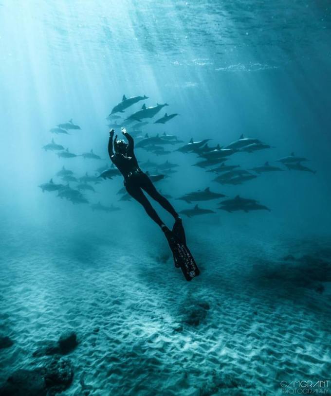 15940402_10211893589918777_6744087574268125166_n