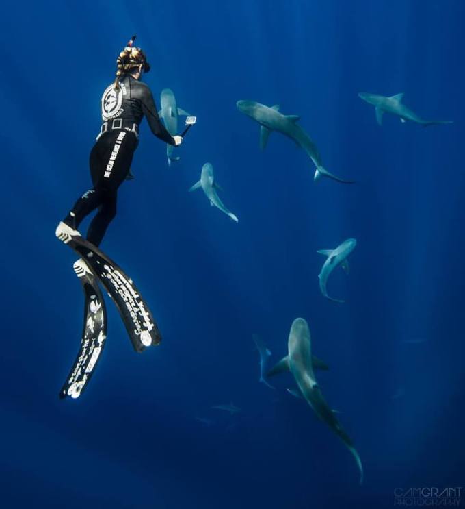 15941501_10208363848474028_5367076980192804536_n