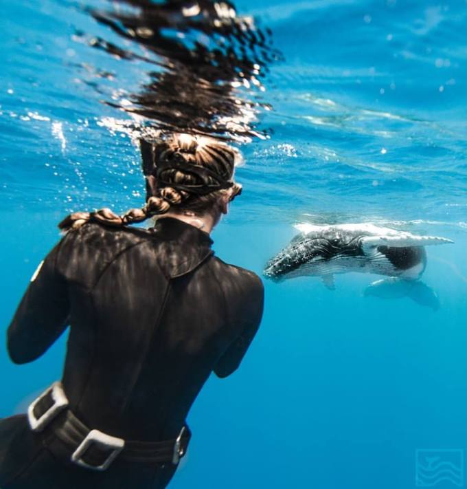 17424867_10208935971416744_8988961601052204861_n